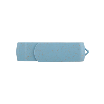 Matériaux recyclables Disque flash USB avec disque U de type C pour le stockage de données