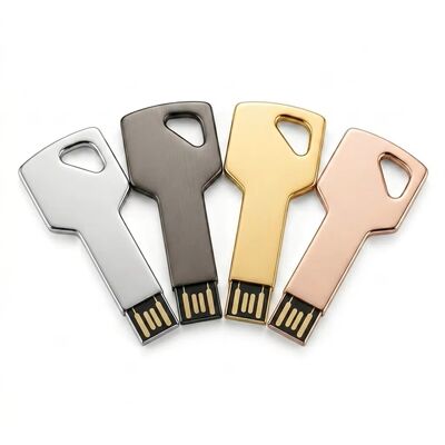 Clé USB en alliage de Zinc avec cryptage, conception personnalisée, dispositif de stockage sécurisé Durable, idéal pour les entreprises