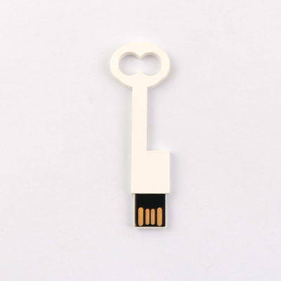 Se conforment le lecteur instantané 2,0 64GB 128GB 50MB/S d'USB de clé en plastique standard de l'Europe