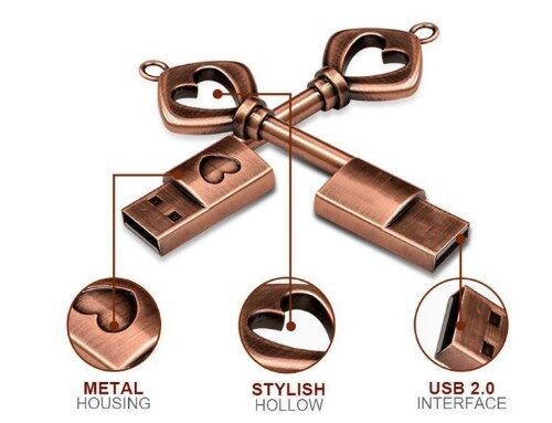 Clé USB de bienvenue de conception personnalisée offrant une vitesse de 10 Mo adaptée au stockage numérique portable et à la gestion des données