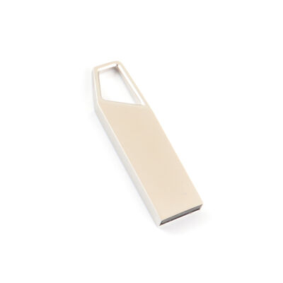 Vitesse d'écriture 2.0 Vitesse 5-10 Mo/s Clé USB Métal Mat avec Compatibilité Carte CF Idéale pour Transfert de Données Sécurisé